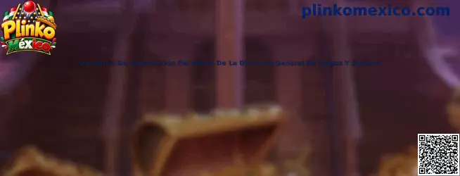 Guía de Plinko México para consultar información sobre la Dirección General de Juegos y Sorteos
